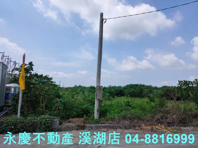 大城農地-2