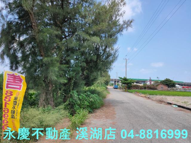 大城農地-5