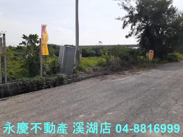 大城農地-7