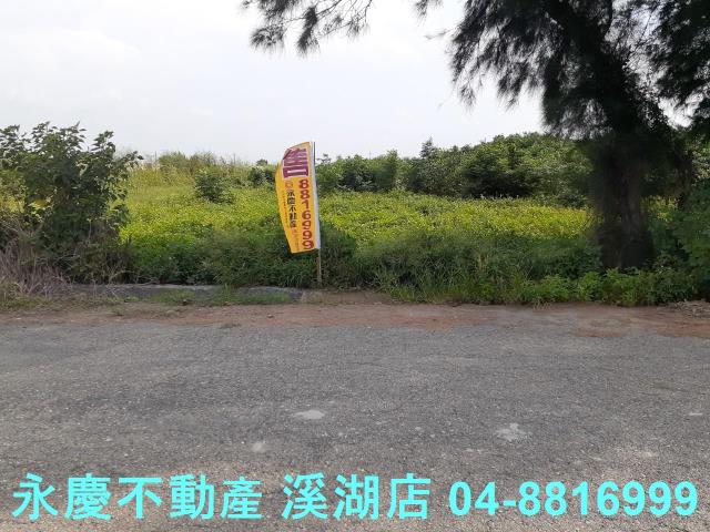 大城農地-8