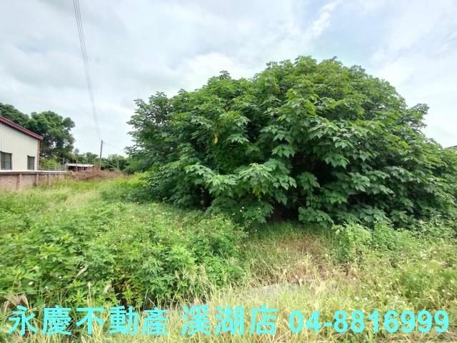 溪州建地-2