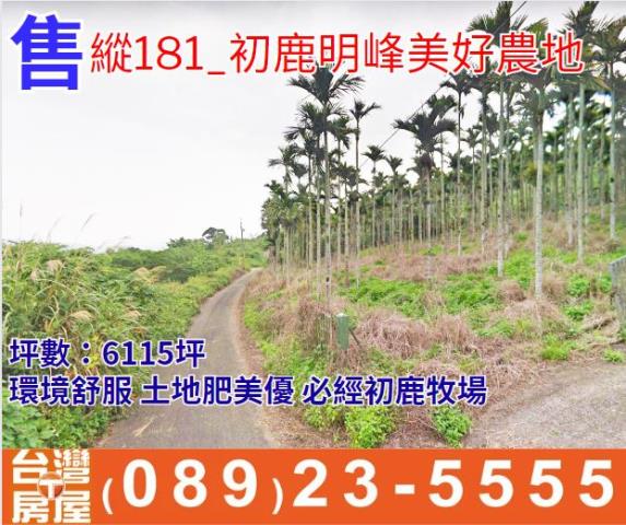 台東農地台東房地產台東土地買賣台東房仲台東仲介海岸線農地