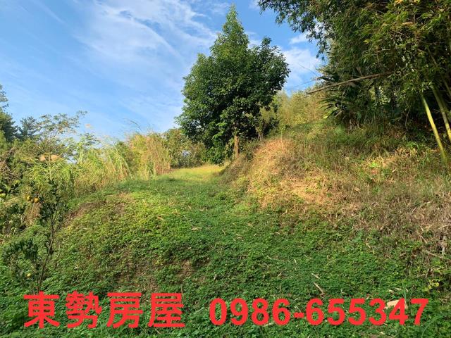 東勢農地-2