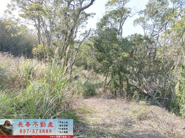 苗栗建地-0
