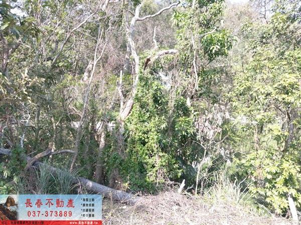 苗栗建地-1
