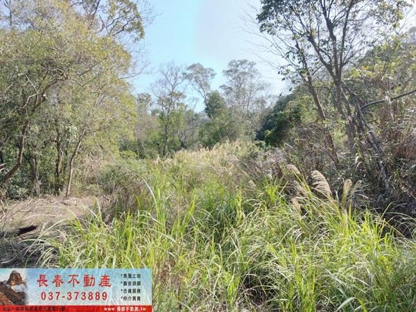 苗栗建地-7
