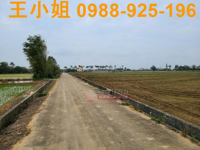 桃園農地-1