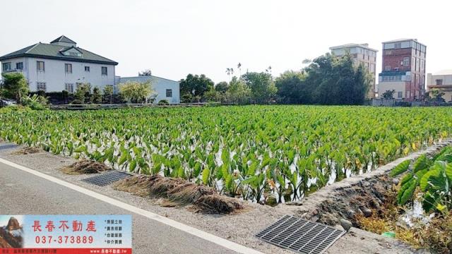 苗栗農地-0