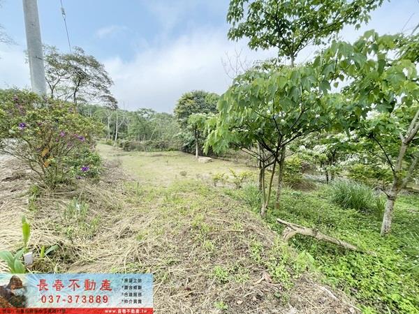 苗栗農地-1