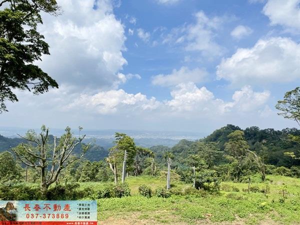 苗栗農地-7