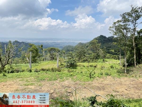 苗栗農地-8