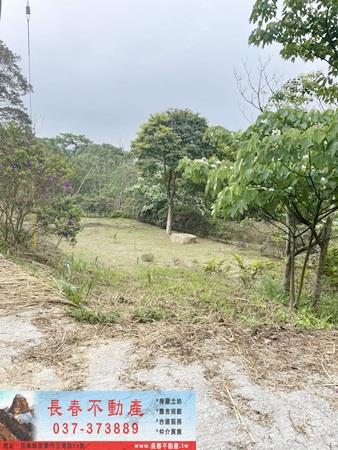 苗栗農地-3
