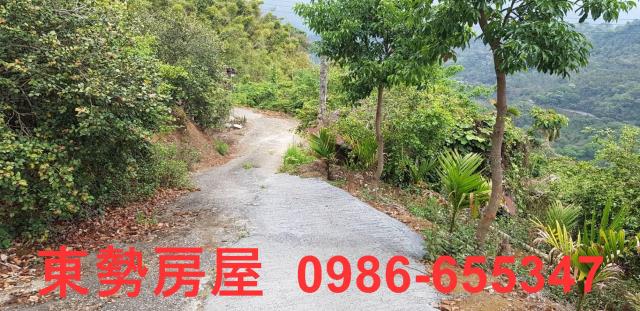 新社農地-0