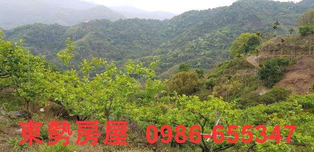 新社農地-5