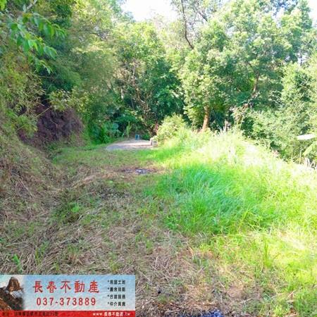 頭屋農地-0