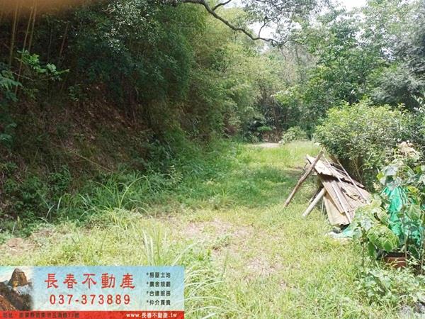 頭屋農地-2