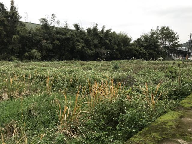 桃園龜山農地-3