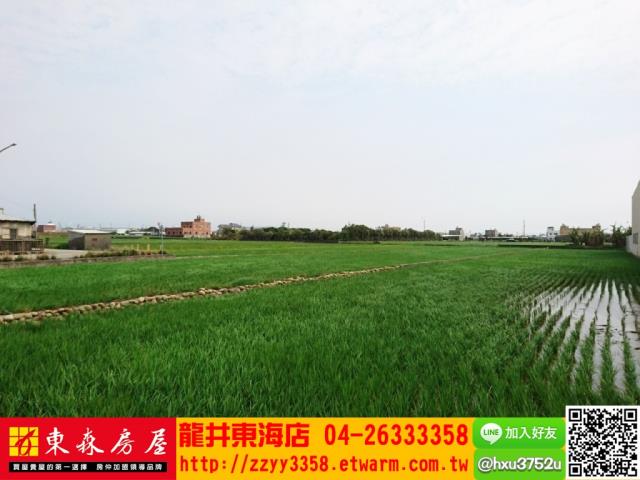 台中大甲農地-2