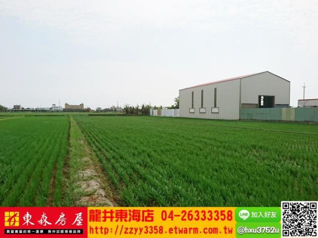 台中大甲農地-3