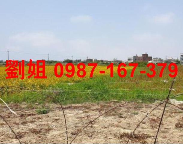 台灣房屋圓夢家土地達人呂昆佩台灣阿魯米嘉義縣市房地產農建地