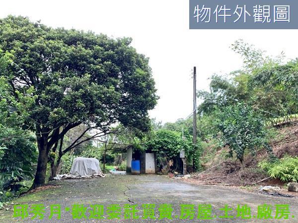 新北淡水農地-6