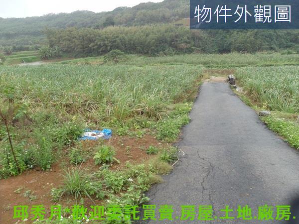 三芝農地-4