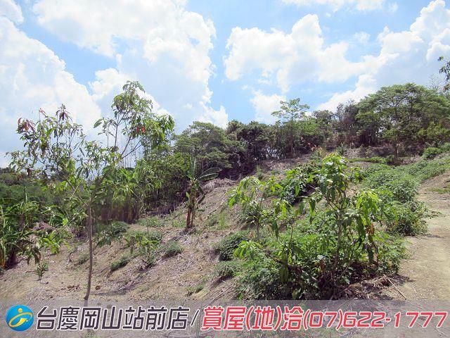 燕巢農地-2
