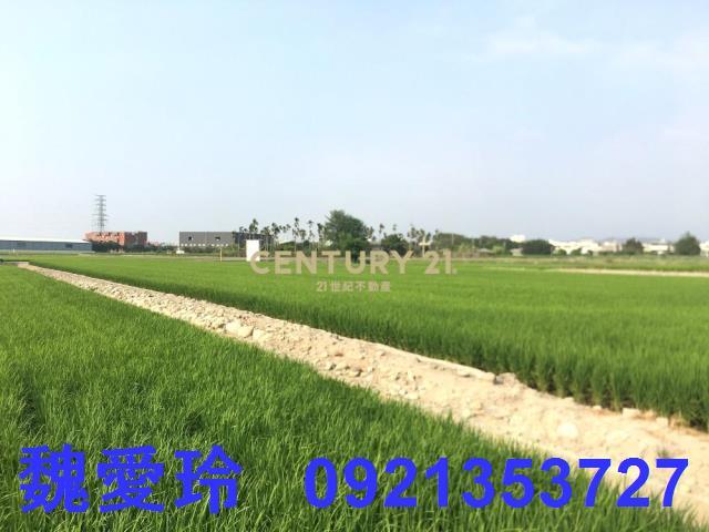 南投農地-3