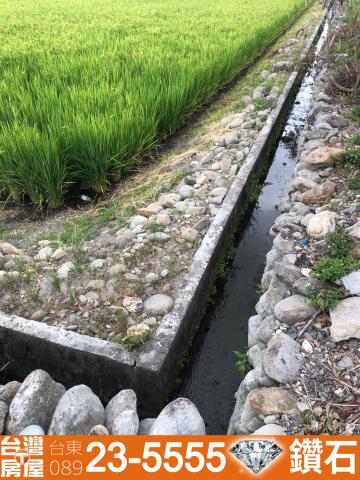 台東池上農地-10