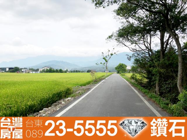 台東池上農地-1