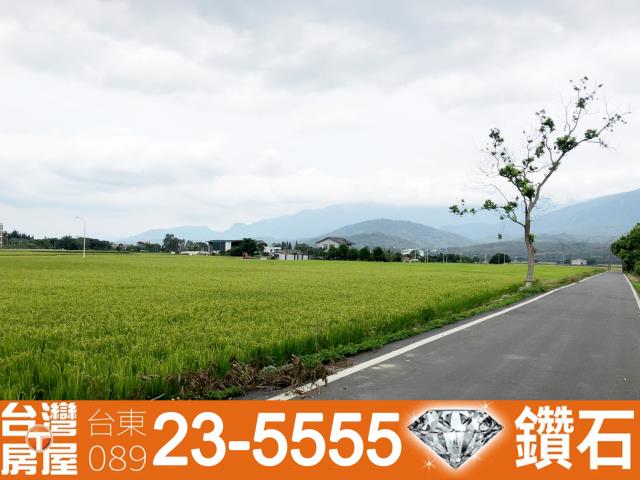 台東池上農地-2
