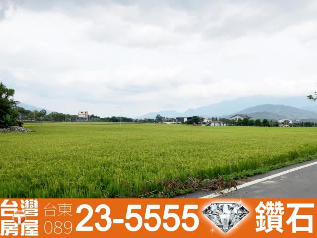 台東池上農地-3