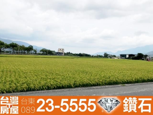 台東池上農地-4