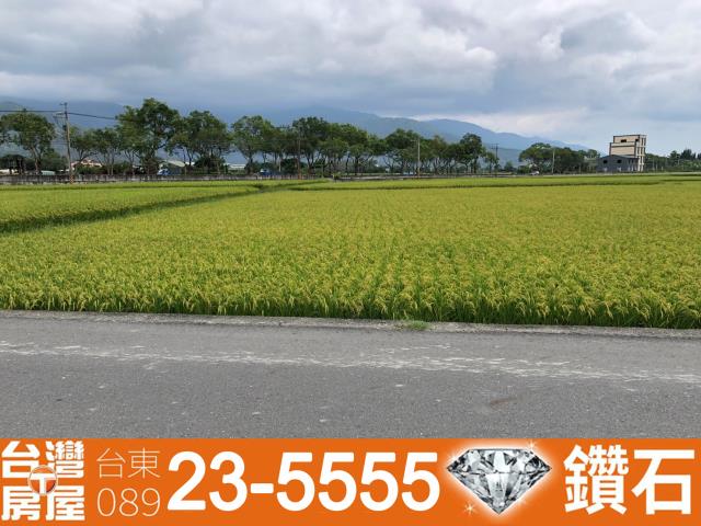 台東池上農地-5