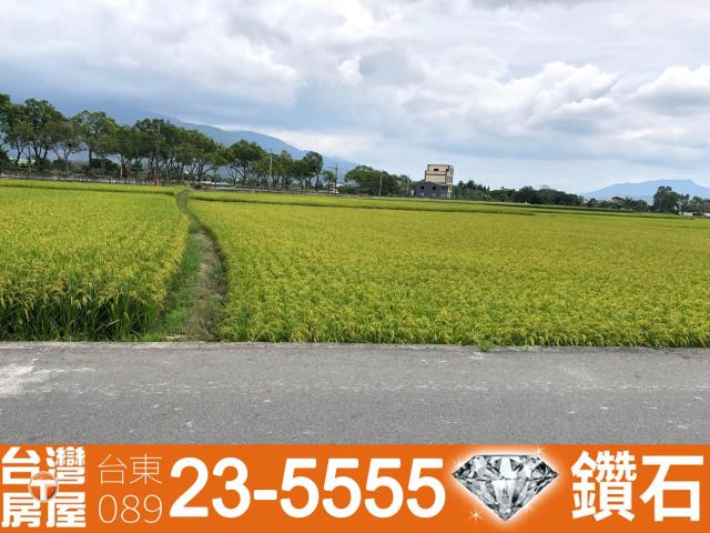 台東池上農地-7