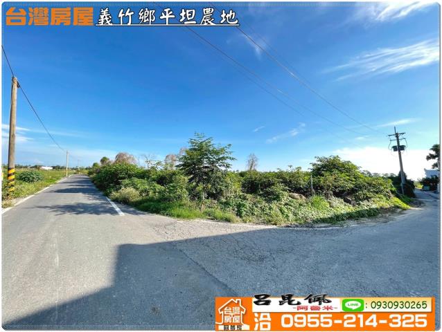 義竹農地-9