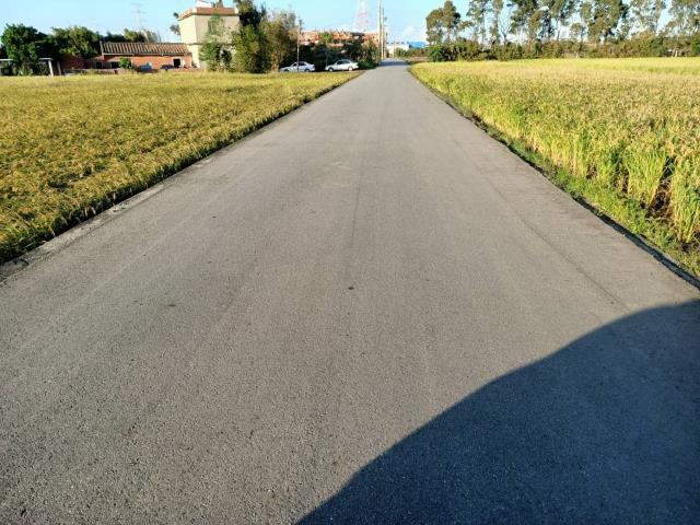 桃園新屋農地-0