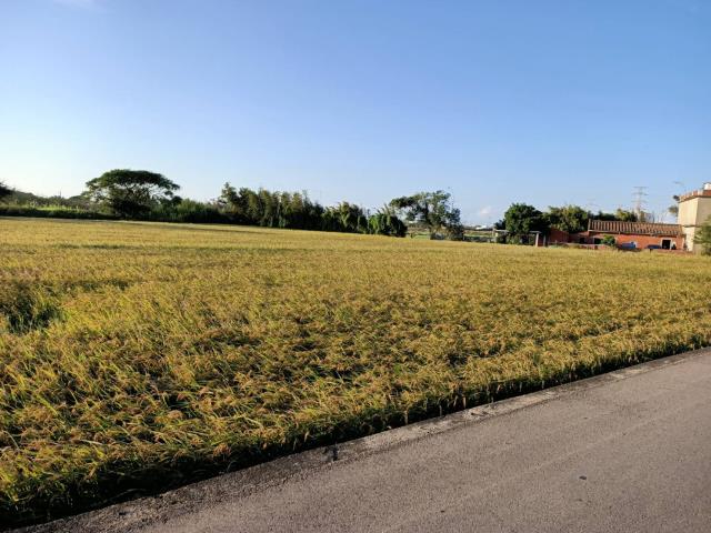 桃園新屋農地-1