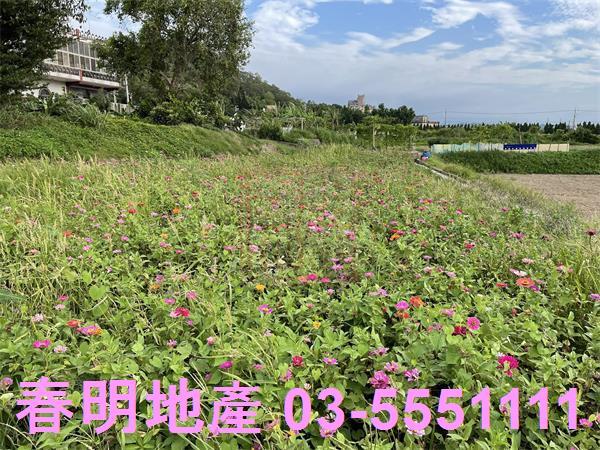芎林建地-4