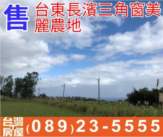 台東長濱三角窗美麗農