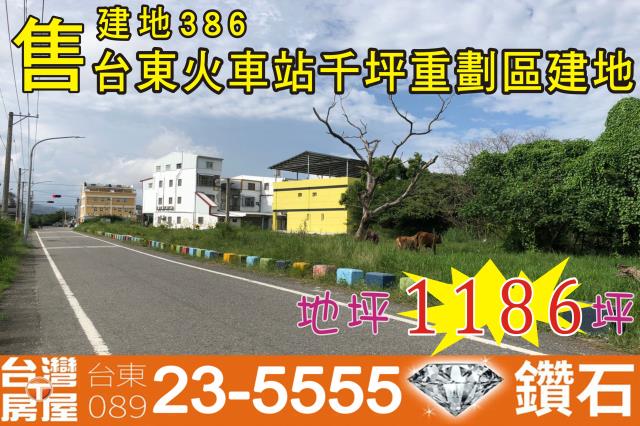 台東市建地-0