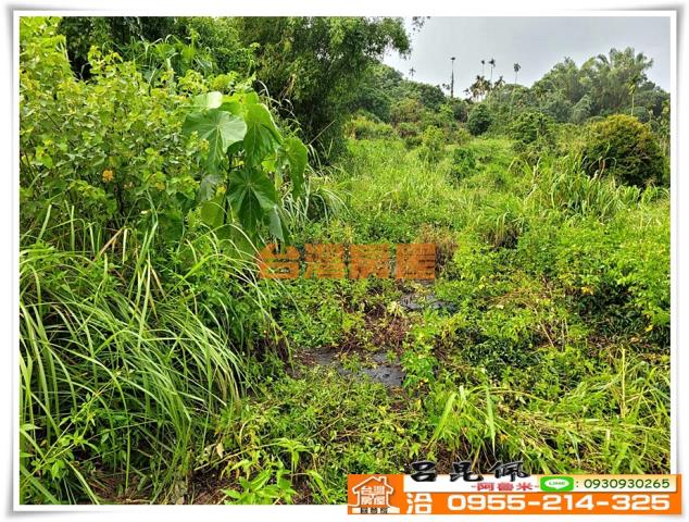 嘉義竹崎農地-4