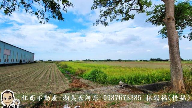 台南農地-10