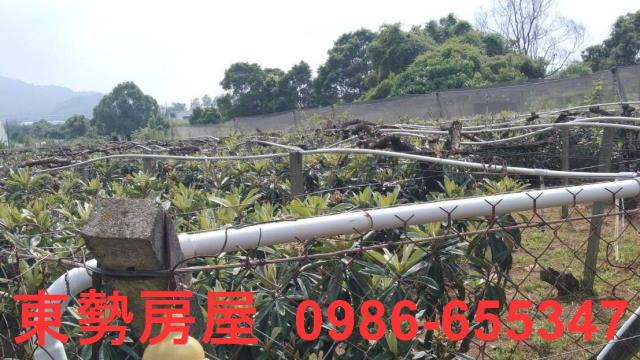 台中新社農地-7