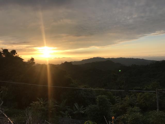 太平山坡地-6