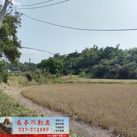 苗栗農地-3