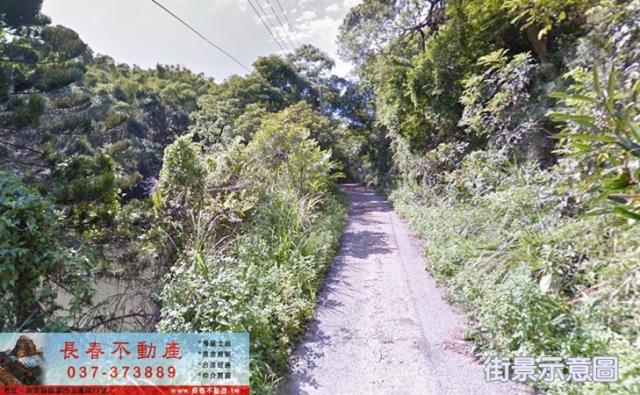 頭份農地-0