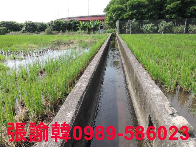 草屯農地-4