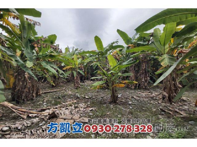 吉安農地-2