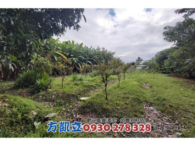 花蓮農地-1